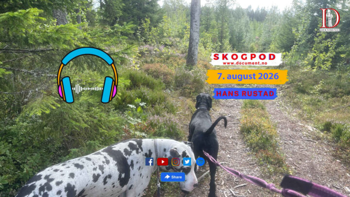 Skogpod 7. august 2026