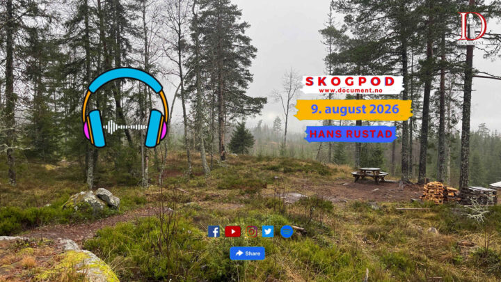 Skogpod 9. august 2026