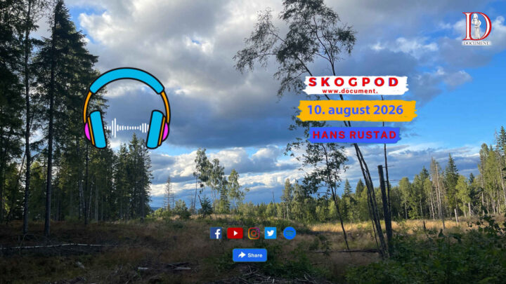 Skogpod 10. august 2026