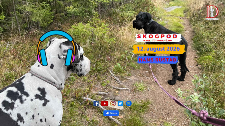 Skogpod 12. august 2026