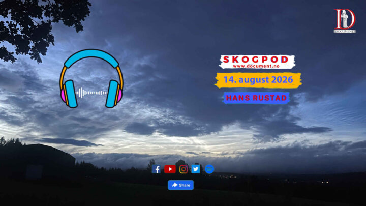 Skogpod 14. august 2026