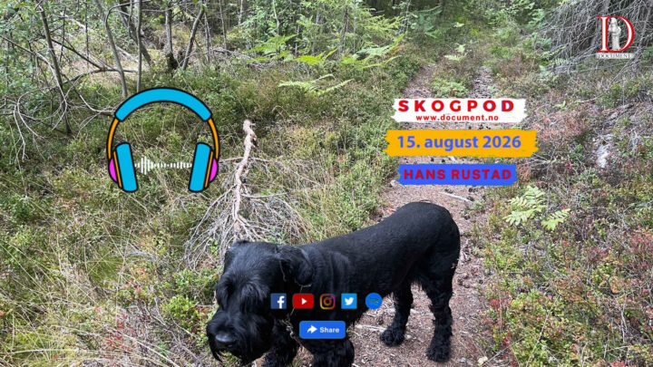 Skogpod 15. august 2026