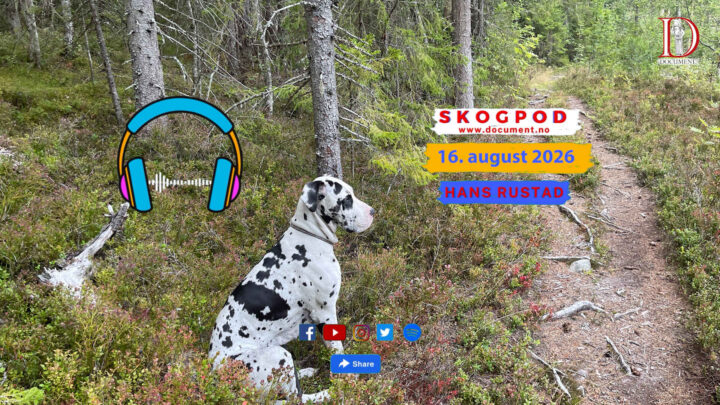 Skogpod 16. august 2026