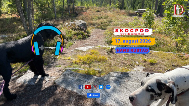 Skogpod 17. august 2026