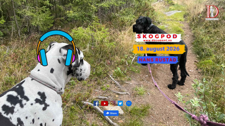 Skogpod 18. august 2026