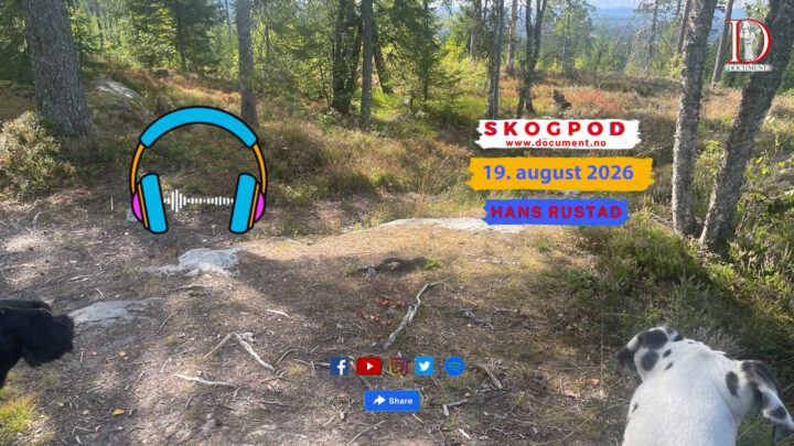 Skogpod 19. august 2026