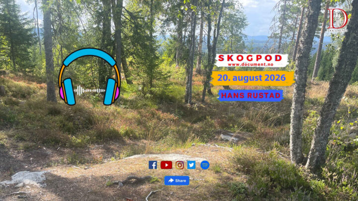 Skogpod 20. august 2026