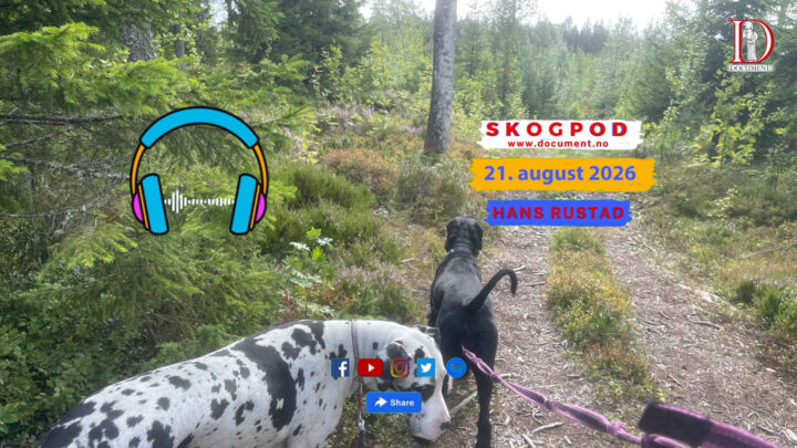 Skogpod 21. august 2026