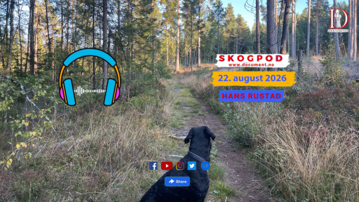 Skogpod og X-tra podcast: Rodgeir Vinsrygg om Lillian Gran og Løten-brannen