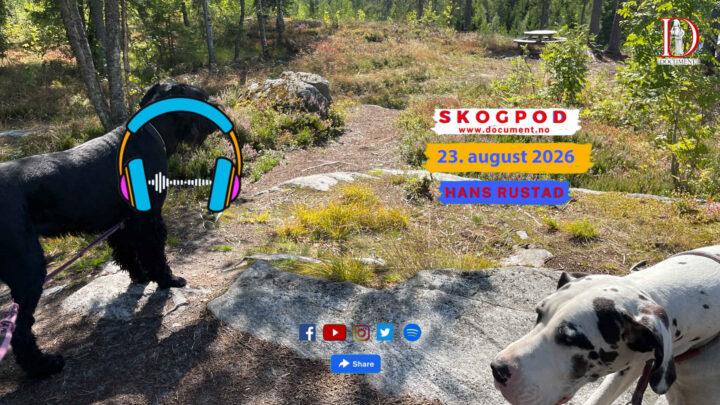 Skogpod 23. august 2026