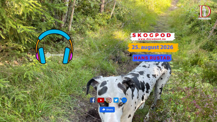 Skogpod 25. august 2026