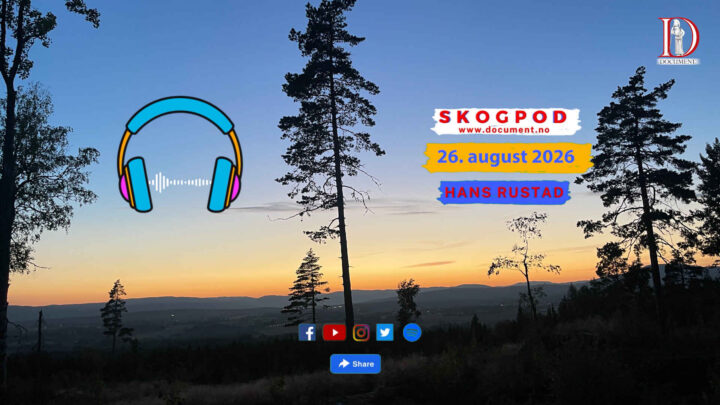 Skogpod 26. august 2026
