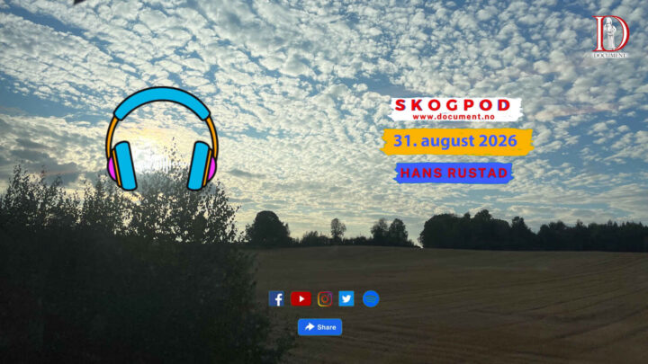 Skogpod 31. august 2026