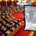 Politikere + kokain = sant?