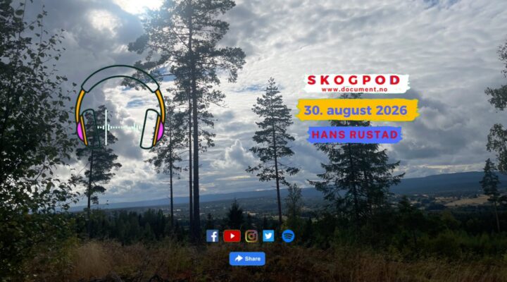 Skogpod 30. august 2026