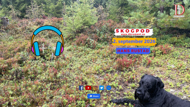 Skogpod 2. september 2026