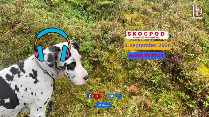 Skogpod 3. september 2026