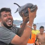Se video: Kraftige reaksjoner etter at migranter slår i hjel delfin-unge